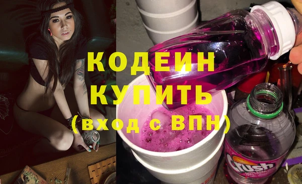 ПСИЛОЦИБИНОВЫЕ ГРИБЫ Арсеньев