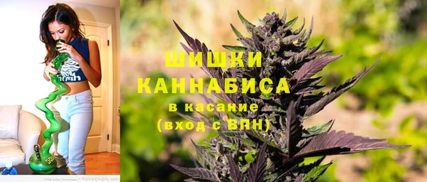 трава Аркадак